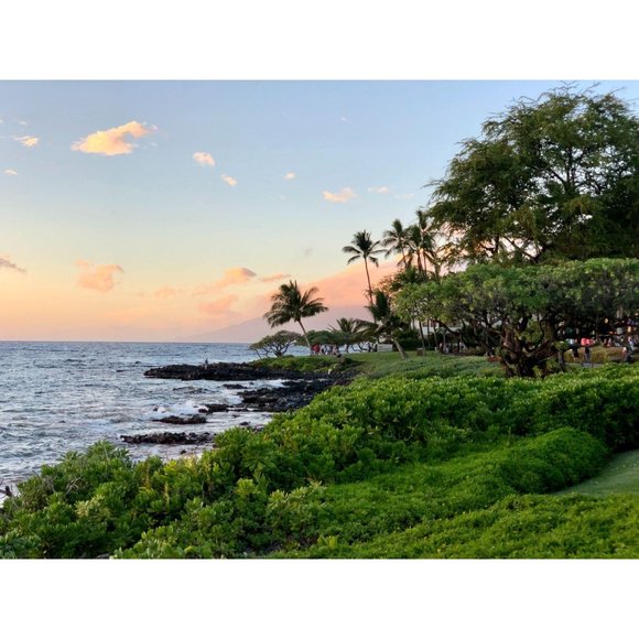 New Starbucks Pineapple Tumbler Hawaiian Exclusive - Picture 6 of 8